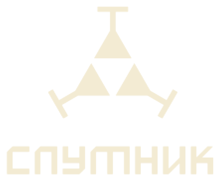 Спутник